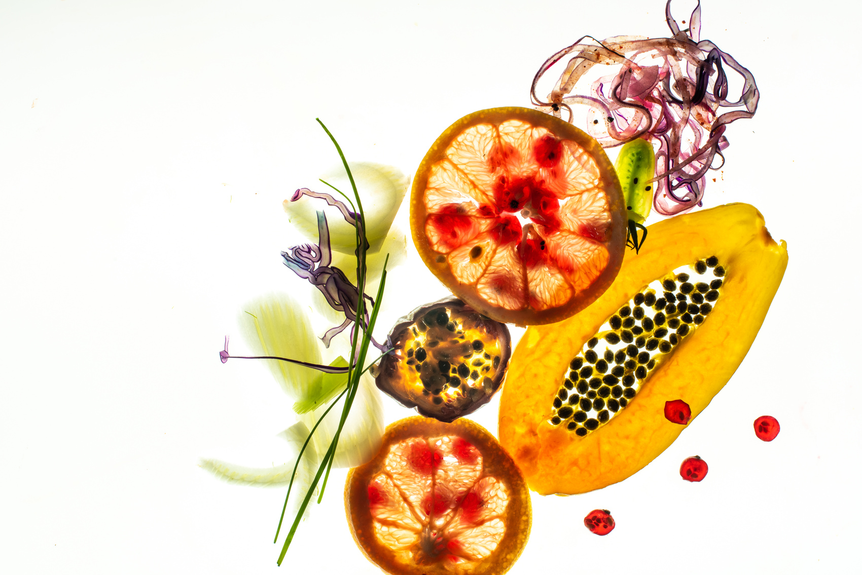 Sliced Fruits on White Background